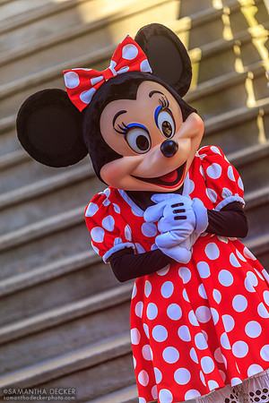 Minnie Mouse, Disney's Hollywood Studios