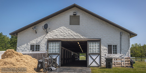Song Hill Thoroughbreds