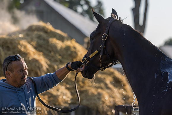 Turf Rocket, Trombetta barn