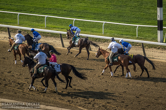 Belmont Park, Elmont, NY