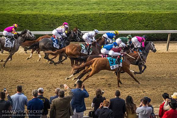 Belmont Stakes, Belmont Park, Elmont, NY