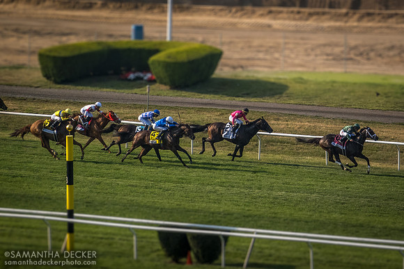 Grade I Manhattan Stakes, Belmont Park, Elmont, NY
