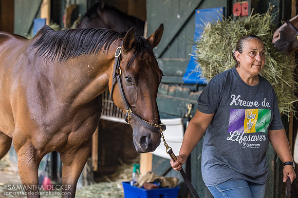 Unleash the Power, Al Stall barn
