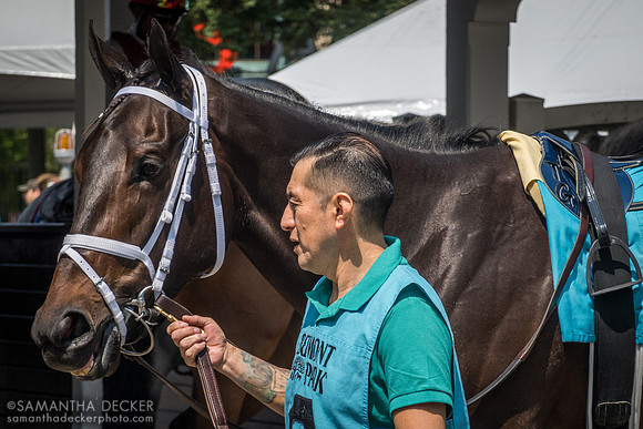Love to Shop, Belmont Park, Elmont, NY
