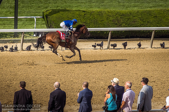 Cody's Wish wins the Met Mile