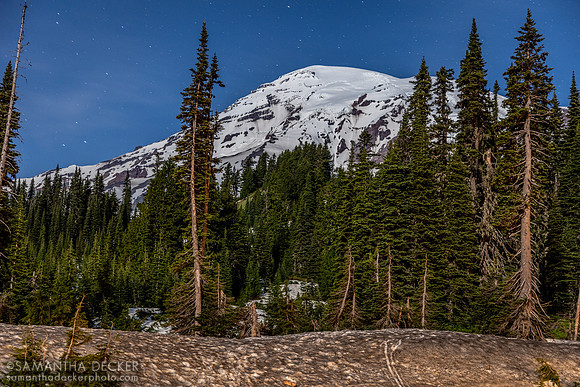 Mt. Rainier