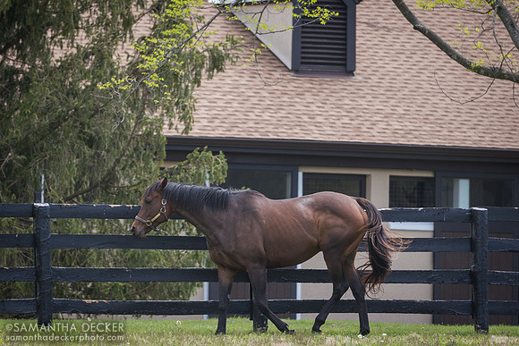 Gainsborough Farm, Versailles, KY