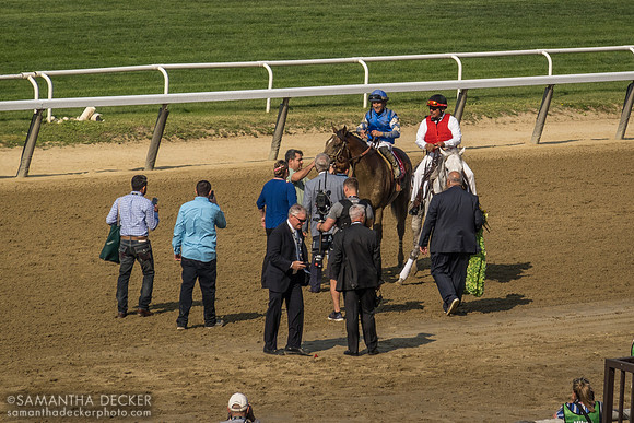 Cody's Wish after winning the Met Mile, Belmont Park, Elmont, NY