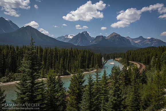 Morant's Curve