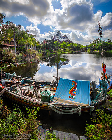 Disney's Animal Kingdom