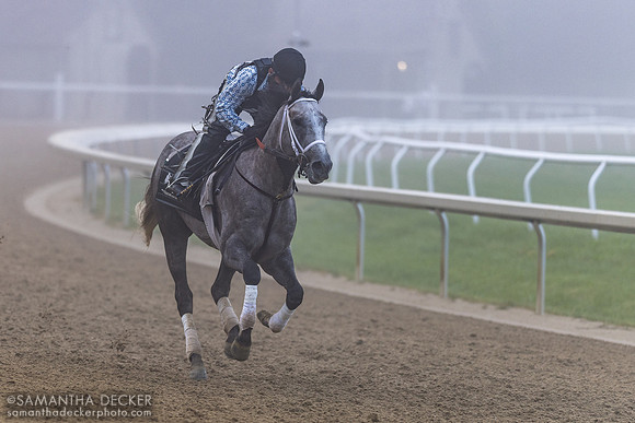 Seize the Grey 6.7.24