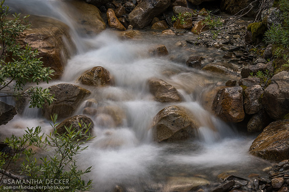 Path of the Glacier Trail, Jasper National Park