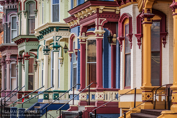 Painted Ladies
