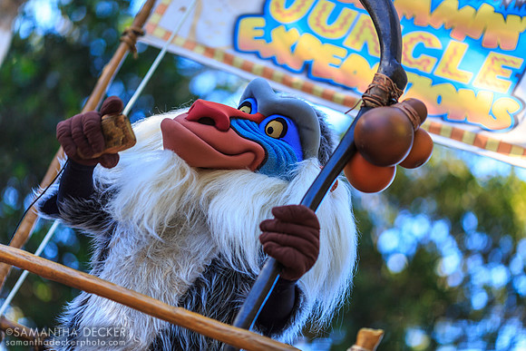 Rafiki Arrives on His Float, Mickey's Jammin' Jungle Parade, Disney's Animal Kingdom