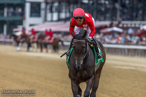 Warrior Johny, winner of R9