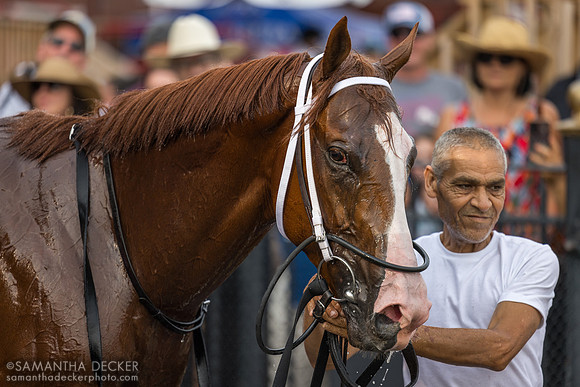 Scaramanga wins R8