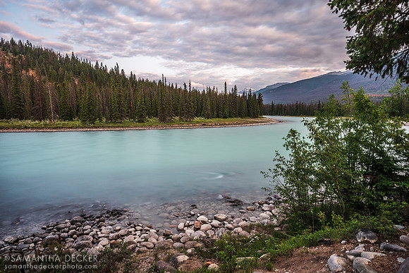 Athabasca River, Jasper, Alberta