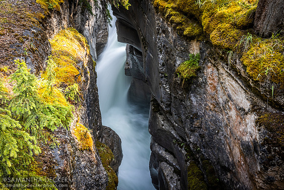 Maligne Canyon, Jasper National Park