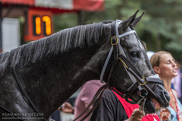 Post Time