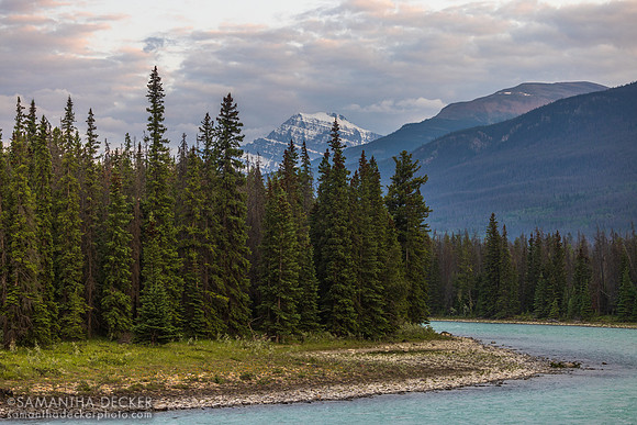Athabasca River, Jasper, Alberta