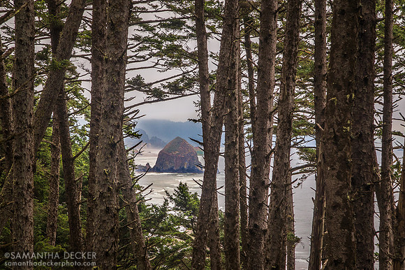Haystack Rock from Ecola State Park, OR