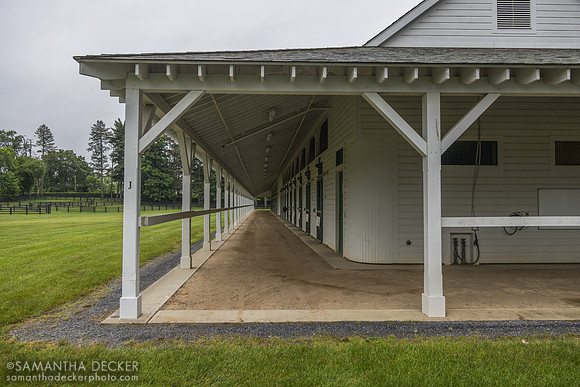 Godolphin's Greentree Stable, 2025