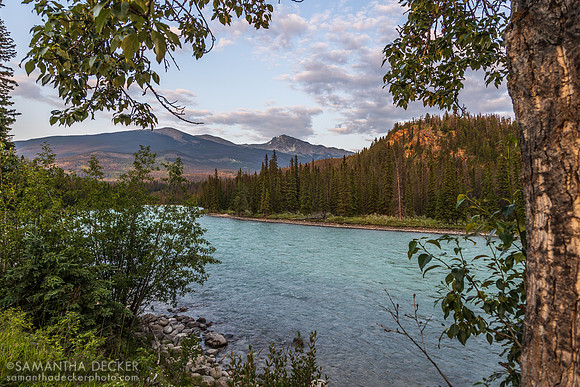Athabasca River, Jasper, Alberta