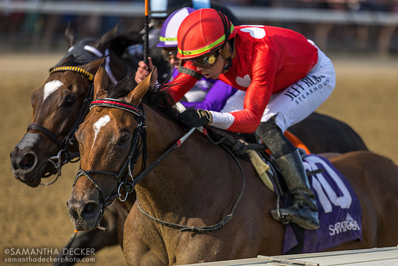 Halina's Forte wins the Galway S.