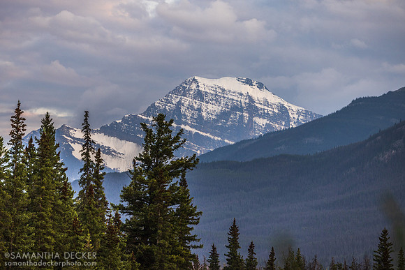 Mount Edith Cavell, Jasper National Park