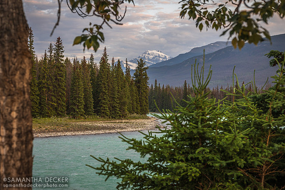 Athabasca River, Jasper, Alberta