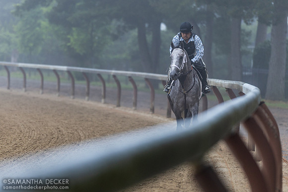 Seize the Grey 6.7.24