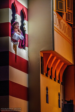 Disney's Aladdin:  A Musical Spectacular, Hyperion Theater, Disney's California Adventure