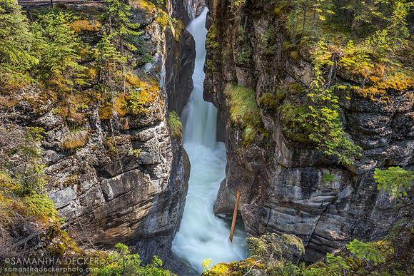 Maligne Canyon, Jasper National Park