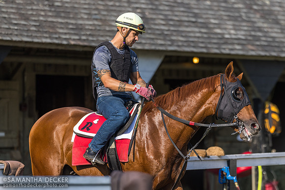 Romain Técher on Putthebabiesdown '22 (Tapwrit colt)