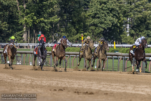Stretch run of the Forego