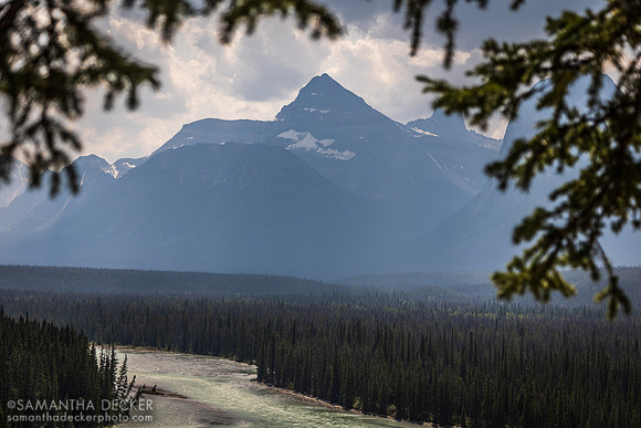 Goats and Glaciers Lookout, Jasper National Park