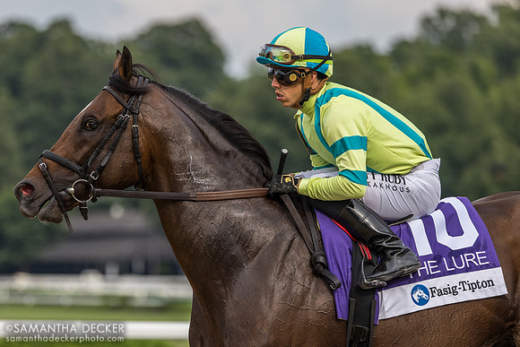 Film Star, winner of the Lure S.