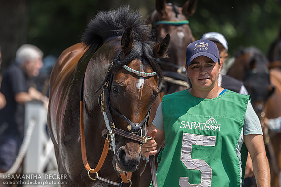 Jimmy P, winner of the Jonathan Sheppard H.