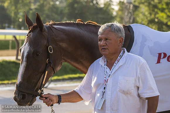 Raging Sea heading back to the barn