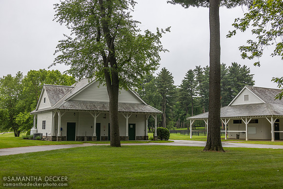 Godolphin's Greentree Stable, 2025