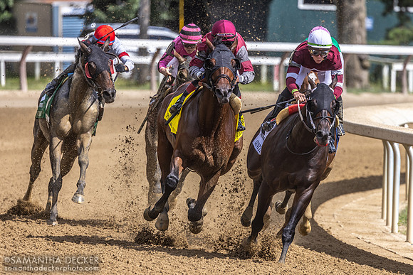 Gunite wins the Grade I Forego Stakes