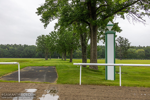 Godolphin's Greentree Stable, 2025