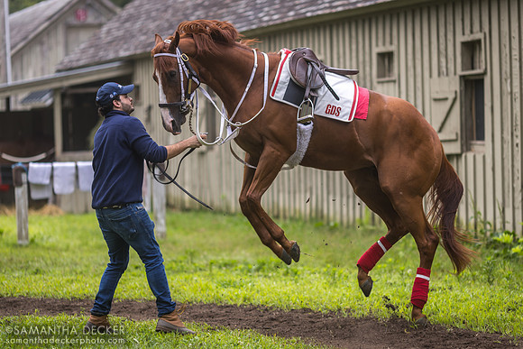 Kentucky Derby winner Mage gets frisky, 2023