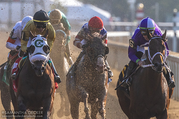 2023 Grade II Amsterdam Stakes