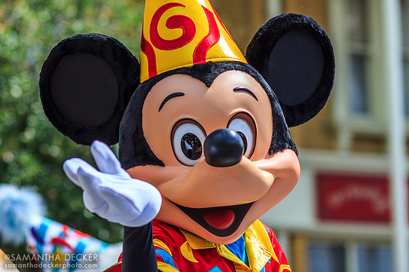 Mickey at the Move It Shake It Celebrate It Street Party (2010), Magic Kingdom