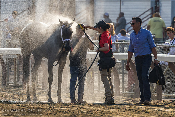 Fierceness gets a bath after winning the Jim Dandy