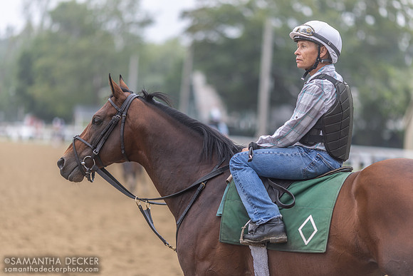 Assistant trainer Neil Poznansky aboard Art Collector, 2023
