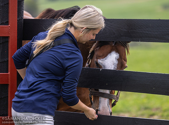 Treats for Instagrand, Taylor Made Farm, Nicholasville