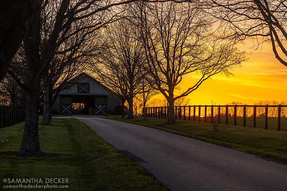 Denali Stud, Paris, KY