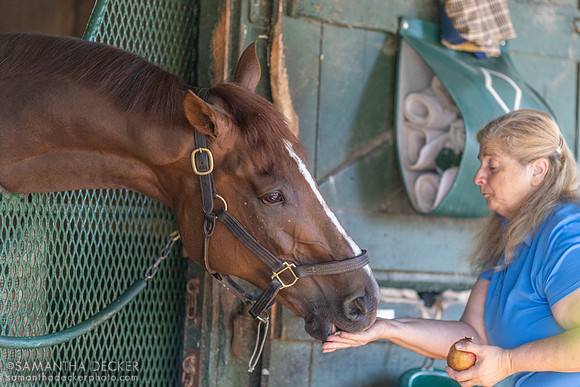 Channel Maker gets a carrot from pal Gilda, 2023